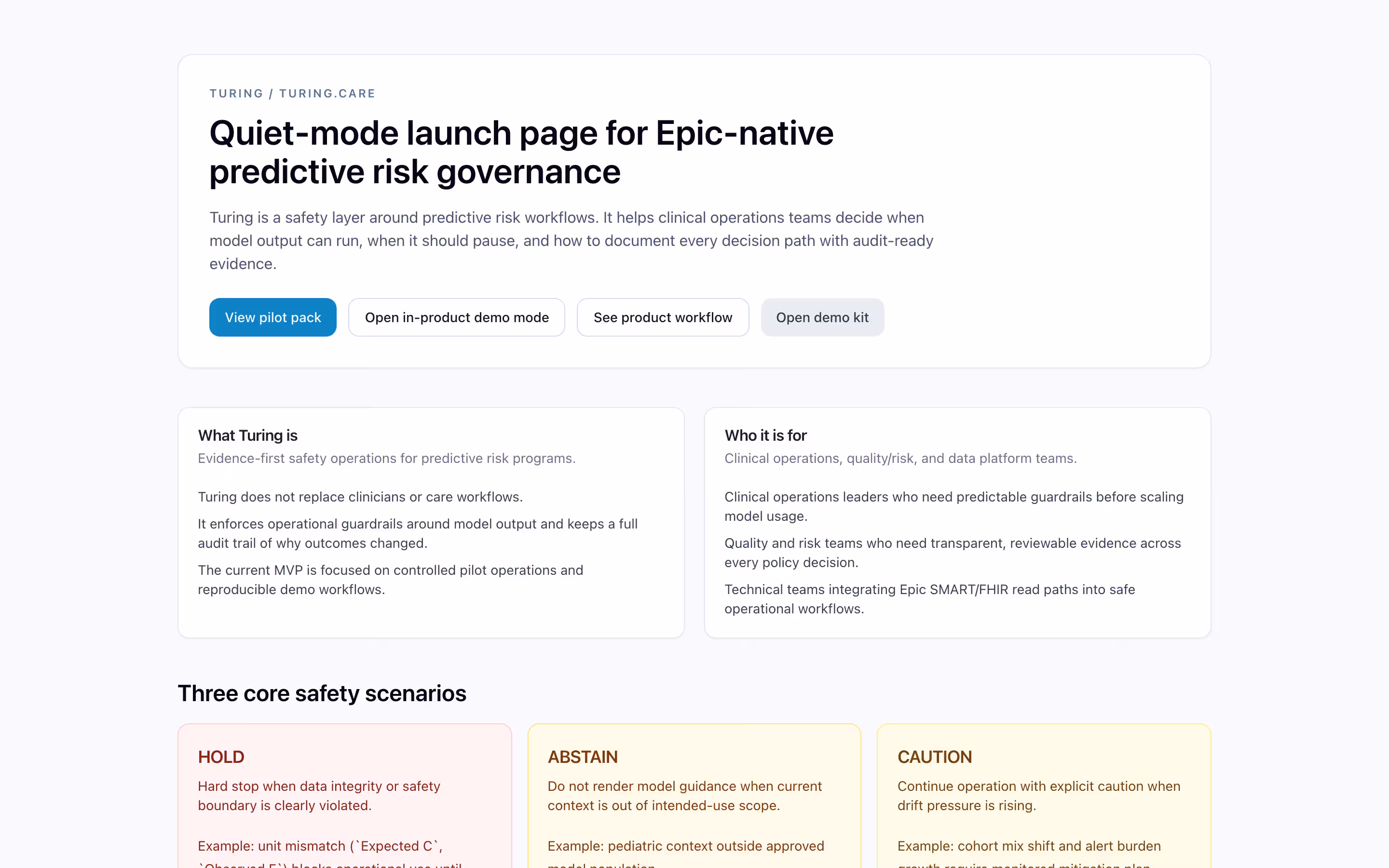 Turing launch page showing core safety scenarios and workflow entry points