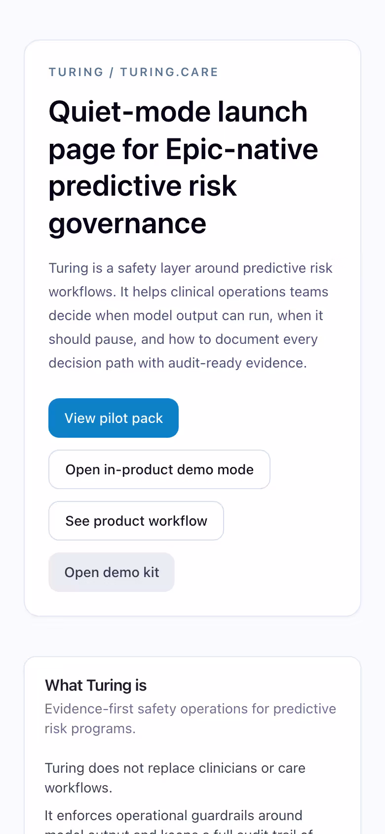 Turing launch page showing core safety scenarios and workflow entry points